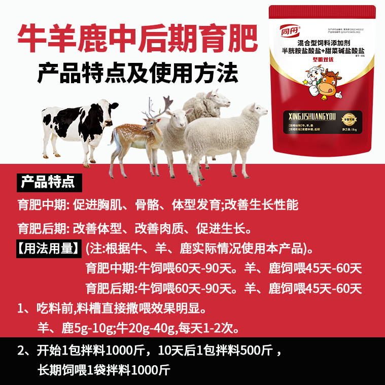 型肌雙優主圖6